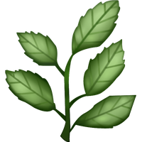 Herbs Leaf HQ Image Free