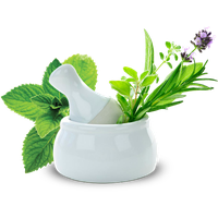 Medicine Herbs Pic Free Download PNG HQ