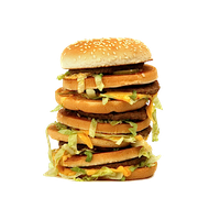 Food Burger Junk PNG File HD