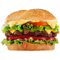 Food Burger Junk Photos Download HQ