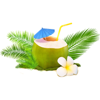 Fresh Coconut Green PNG Download Free