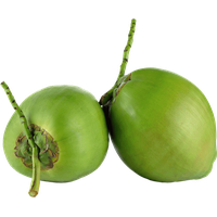 Fresh Coconut Green Photos PNG Download Free