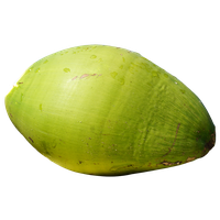 Fresh Coconut Green Free Download Image