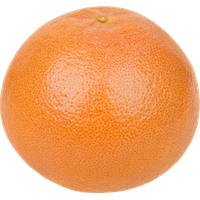 Grapefruit HD Image Free
