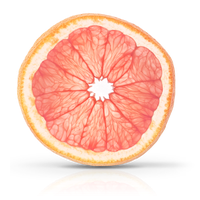 Grapefruit Half Free Clipart HD