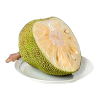 Jackfruit Juicy PNG Download Free