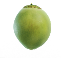 Green Coconut Organic Free Transparent Image HD