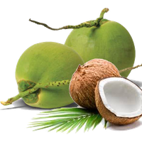 Green Coconut Organic Free HQ Image
