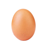 Egg Instagram Download HD