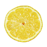 Cut Lemon Half Free Clipart HQ
