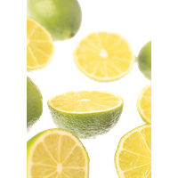 Lemon Half PNG Download Free