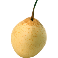 Pear Asian Free Download Image