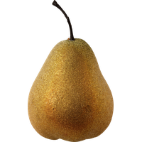 Picture Pear Asian Free Clipart HD
