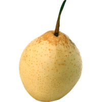 Pear Asian PNG File HD