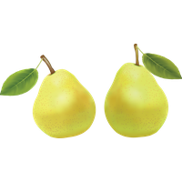 Pear Asian Free PNG HQ