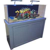 Fish Tank Aquarium PNG Image High Quality
