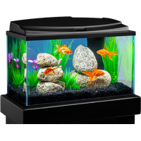 Fish Tank Aquarium PNG File HD
