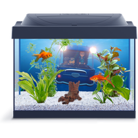 Picture Fish Tank Aquarium Download Free Image