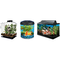 Fish Tank Aquarium HQ Image Free