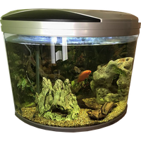 Fish Tank Aquarium Free HQ Image