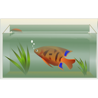 Fish Tank Aquarium Free Download PNG HQ