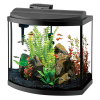 Glass Fish Tank Aquarium Download HQ