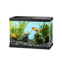 Glass Fish Tank Aquarium Download Free Image
