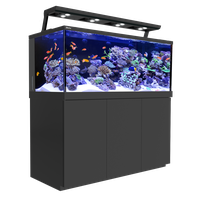 Glass Fish Tank Aquarium PNG Image High Quality