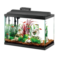 Glass Fish Tank Aquarium Download HD