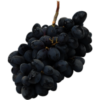 Black Grapes Bunch PNG Download Free