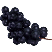 Fresh Black Grapes Bunch Free HD Image