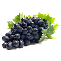 Fresh Black Grapes Free Download Image