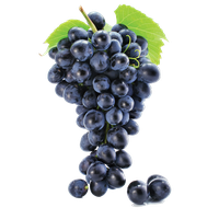 Seedless Black Grapes PNG Image High Quality