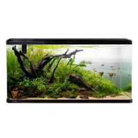 Glass Fish Tank Aquarium Free Download PNG HD