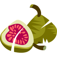 Green Fig Free Transparent Image HD