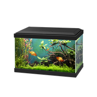 Small Fish Tank PNG Free Photo