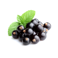 Black Currant Berries Organic Free Download Image