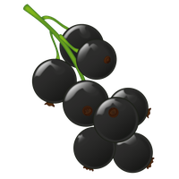 Currant Berries Black Emoji Free Clipart HD