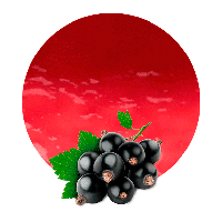 Currant Berries Black Icon Download HQ