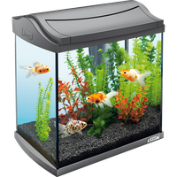 Real Fish Tank Free Transparent Image HD