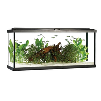 Fish Tank Rectangle Free Transparent Image HQ