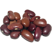 Beans Kidney Free Download Image