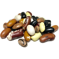 Mixed Beans Kidney HQ Image Free