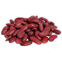 Beans Organic Kidney PNG Image High Quality