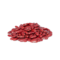 Beans Organic Kidney Red Free Clipart HQ