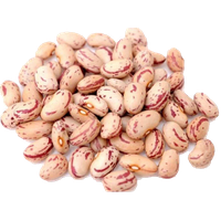 White Beans Kidney PNG Download Free
