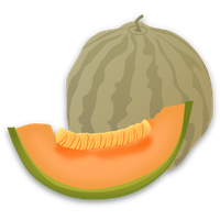 Cantaloupe Slices Free Download PNG HD