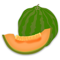 Cantaloupe Slices Free Download Image