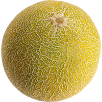 Fresh Cantaloupe Free Download Image
