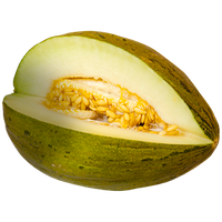 Cantaloupe Green PNG Download Free